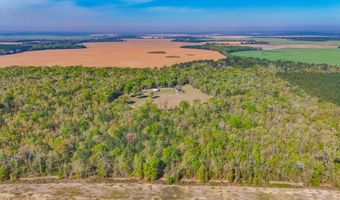 2970 Cooktown Rd, Bainbridge, GA 39817