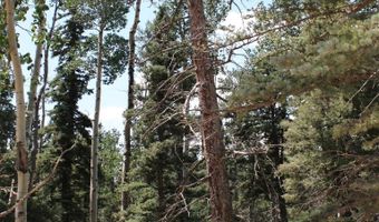 El Camino Real, Angel Fire, NM 87710