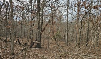 65 Acres Plainview Rd, Anderson, MO 64831