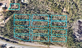 2424 White Pond Church Rd, Alford, FL 32420