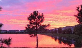 355 MANGROVE SHADE Cir, Apollo Beach, FL 33572