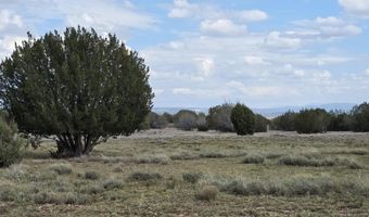 64 Antelope Run, Ash Fork, AZ 86320