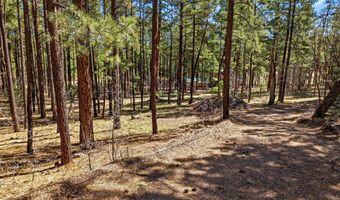 11 County Road 2135, Alpine, AZ 85920