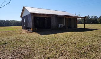 0 County Road 127, Banks, AL 36005