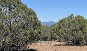 39303 N Bullock Rd, Ash Fork, AZ 86320