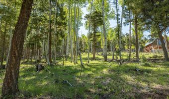 Lot 437 El Camino Real, Angel Fire, NM 87710