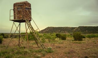 767 CR 301, Abilene, TX 79603