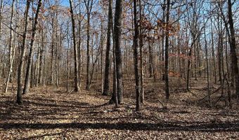 OFF OF SULPHUR CREEK RD, Big Sandy, TN 38221