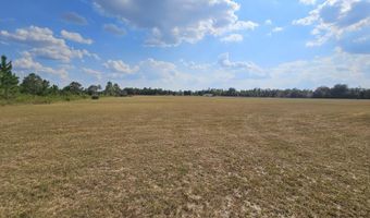 5279 NW County Rd 274, Altha, FL 32421