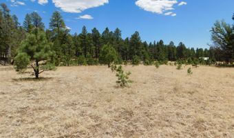 10 N2310, Alpine, AZ 85920