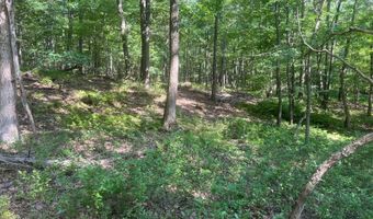 242 Brush Mountain Rd, Altoona, PA 16601