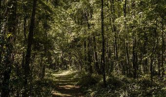 State Rd 121, Alachua, FL 32615