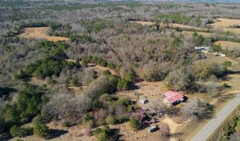 34655 Co Rd 49, Beaverton, AL 35544