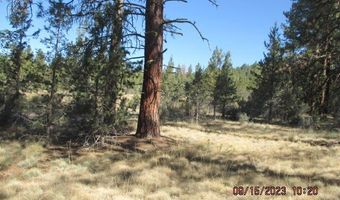 Jaguar Lane Lot 29, Bonanza, OR 97623