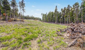 52 Meadowlake Dr, Black Hawk, CO 80422