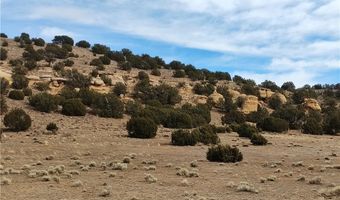 15 County Rd N8641, Concho, AZ 85924