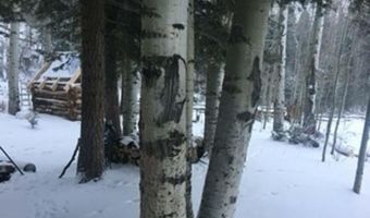 4558 Middle Mountain Rd, Bayfield, CO 81122