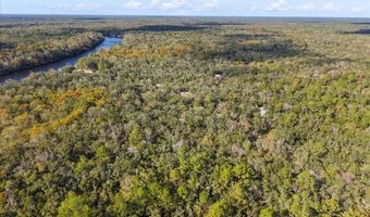 7639 6th St, Bell, FL 32619