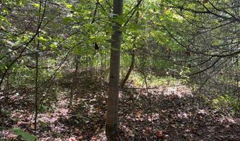 9 AC Lily Dale Rd, Allons, TN 38541