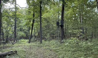 10775 W Ellsworth Rd, Ann Arbor, MI 48103