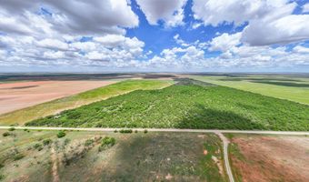CR 260, Anson, TX 79501