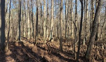 Cr 127, Abbeville, MS 38601
