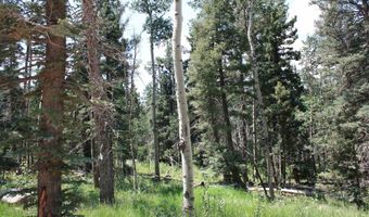 El Camino Real, Angel Fire, NM 87710