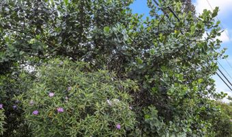 PARADISE DR, Keaau, HI 96749