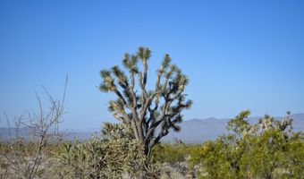 2641 S Javalina Rd, Yucca, AZ 86438