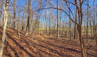 33056 Weaver Church Rd, Albany, OH 45710