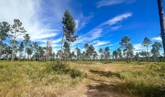 Tbd CR 4328, De Kalb, TX 75559