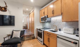 434 E Main St 102, Aspen, CO 81611