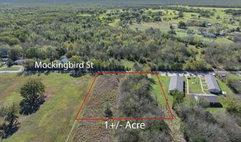 TBD Mockingbird Street, Alba, TX 75410