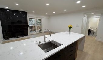 910 W Hallam St 12, Aspen, CO 81611