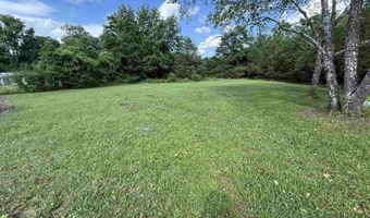 1390 CANEY Br, Adamsville, TN 38310
