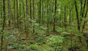 0 Worley Rd, Ball Ground, GA 30107