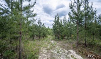 Phillipsville Road, Bay Minette, AL 36507