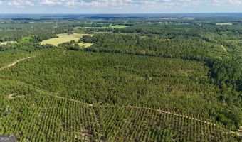 Penny Morris Road, Baxley, GA 31513
