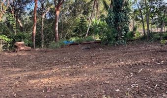 2599 Ala Olu Pl unit C, Haiku, HI 96708