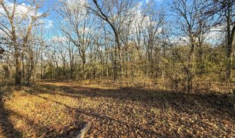 8667 W Hardwood Rd, Atoka, OK 74525