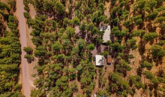 56 Co Rd 2266, Alpine, AZ 85920