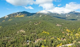 11982 Peak To Peak Dr, Allenspark, CO 80510