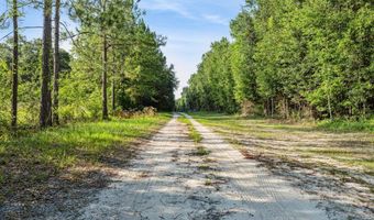 712 Blackberry Rd, Baconton, GA 31716