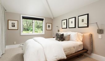 1145 Black Birch Dr, Aspen, CO 81611