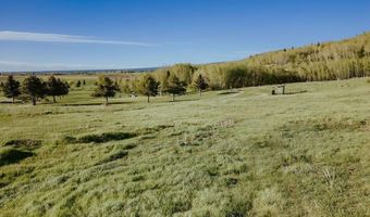 150 PERIMETER Dr, Alta, WY 83414