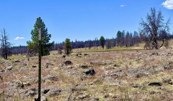 White Birch Lane lot 4, Bly, OR 97622