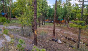 7 Eric Ln, Alpine, AZ 85920
