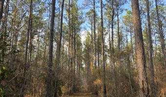 U.S. Highway 51, Bogue Chitto, MS 39629