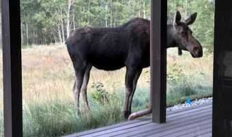 300 W TETON HIDEAWAY Dr, Alta, WY 83414