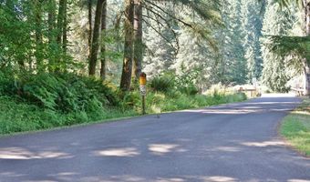 9965 BEACH Dr, Birkenfeld, OR 97016